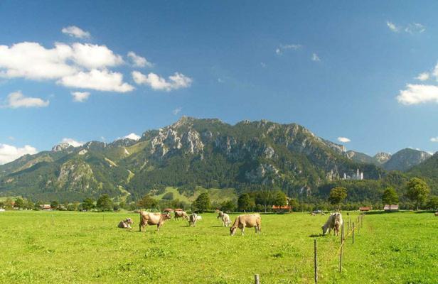 Jägerhof und Jägerstadel Schwangau Exterior foto